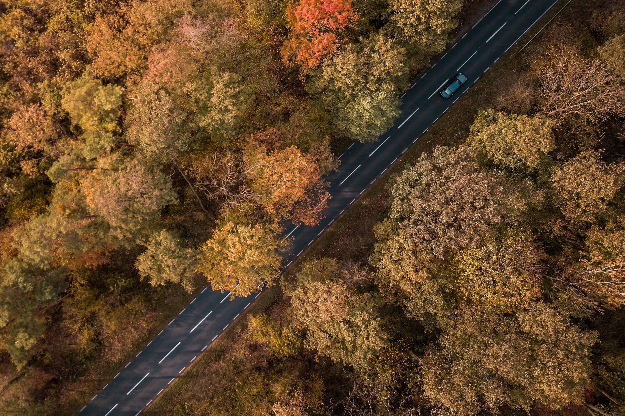 Herfstvakantie autoroutes scaled